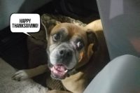 Ramsey Says Happy Thanksgiving