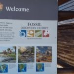 Big Bend National Park Fossil Discovery Exhibit 1