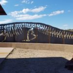 Big Bend National Park Fossil Discovery Exhibit 3