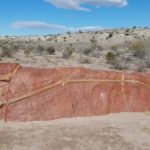 Big Bend National Park Fossil Discovery Exhibit 4