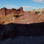 Big Bend National Park Fossil Discovery Exhibit 5
