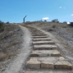 Big Bend National Park Fossil Discovery Exhibit 50