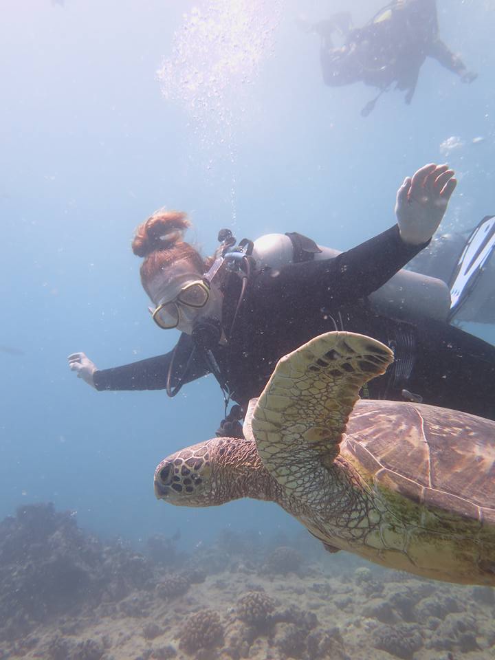 Hawaiian Vacation Sea Turtle Closeup - Scuba Diving With Nomads