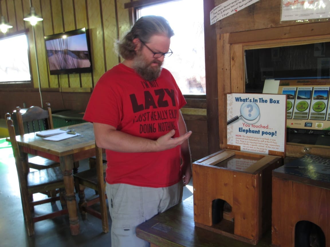 elephant poop El Paso zoo