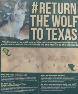 wolf sign el paso zoo
