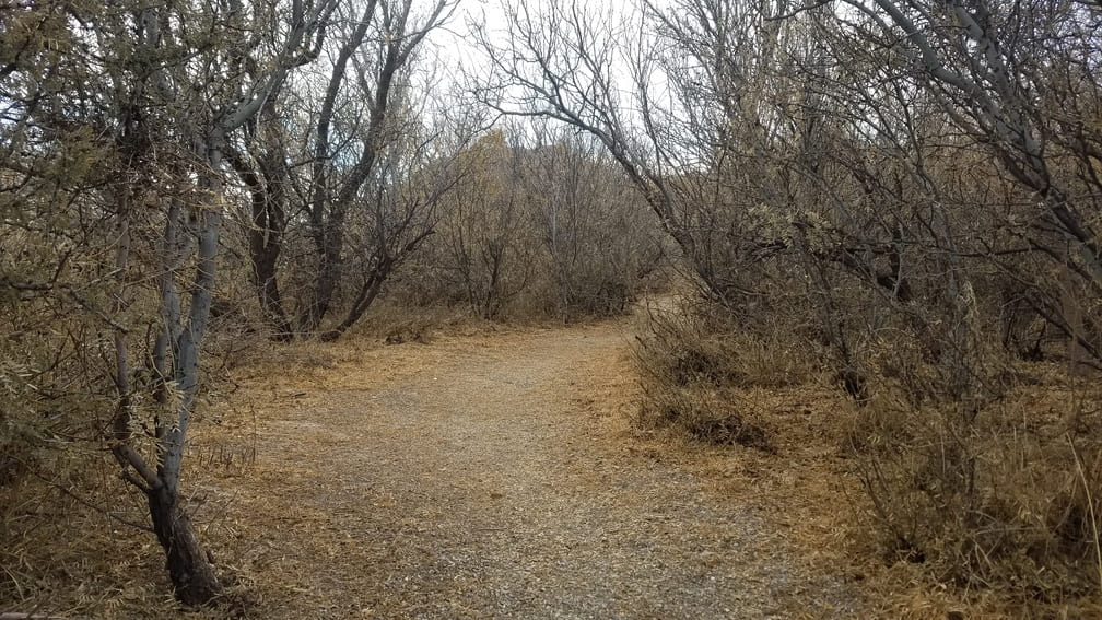 Pedestrian Meadow Trail - Hueco Tanks
