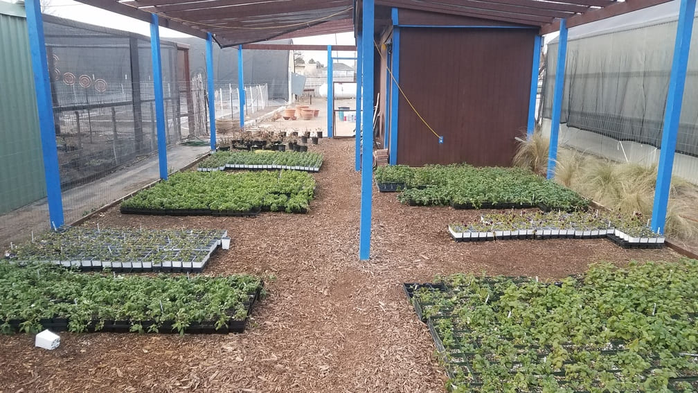 nursery at Gage Gardens