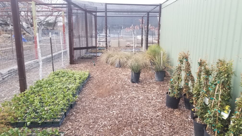 plant and tree nursery at Gage Gardens