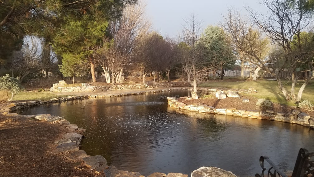 pond at Gage Gardens