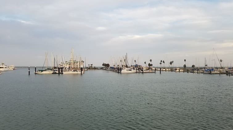 Corpus Christi Marina