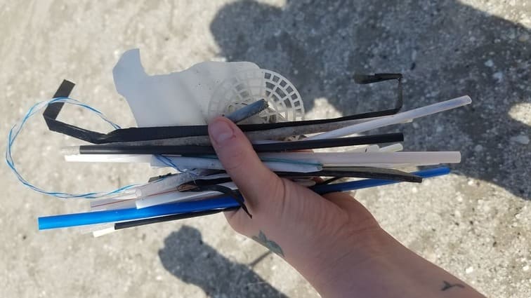 Mcgee Beach Plastic Cleanup - Corpus Christi